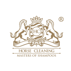 Horse cleaning logo square