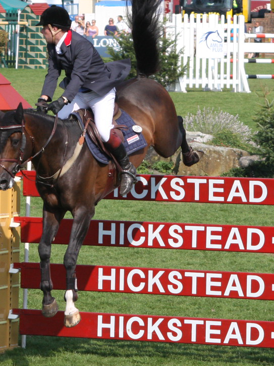 Livery Services Robert Whitaker Equestrian